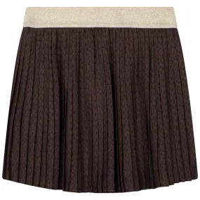 Brown Pleated Skirt