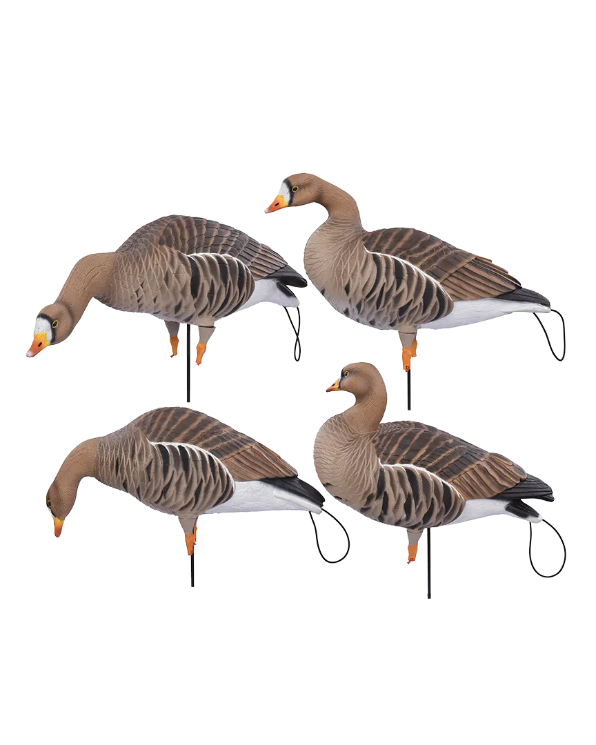 GHG Pro Flex Full Body Goose Decoy - Specklebelly Harvester Pack