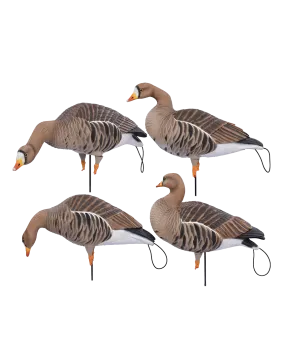 GHG Pro Flex Full Body Goose Decoy - Specklebelly Harvester Pack