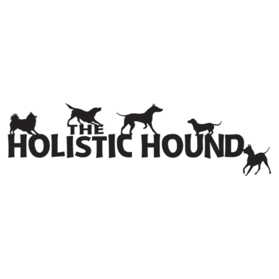 Holistic Hound The Perky Pup 500ml