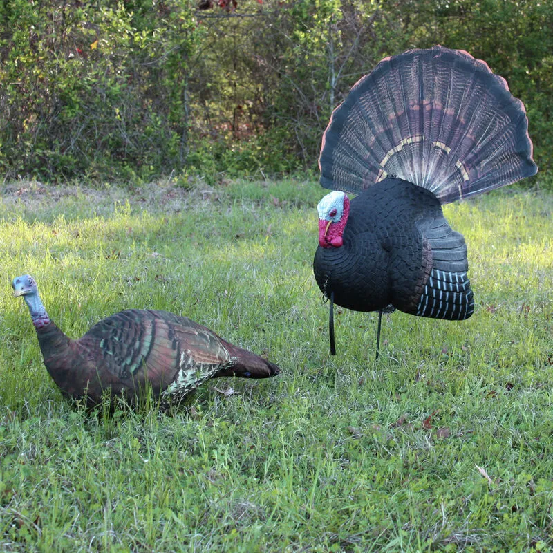 Killer B Turkey Decoy